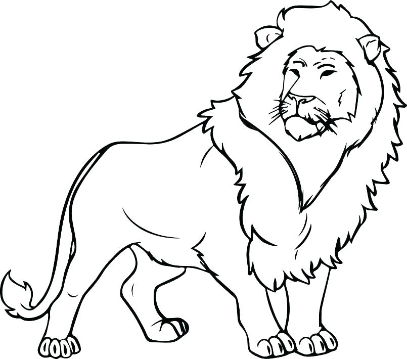 805x710 Lion Coloring Pages Letter L Learn Letter L For Lion Coloring Page
