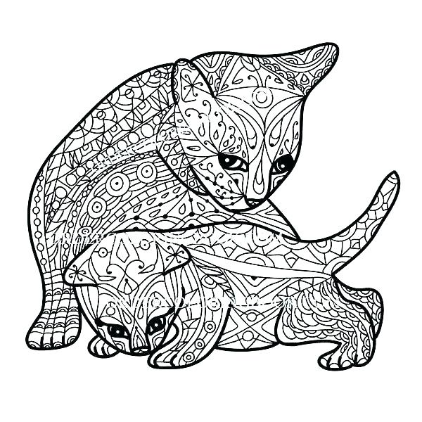 600x600 Realistic Kitten Coloring Pages Vanda