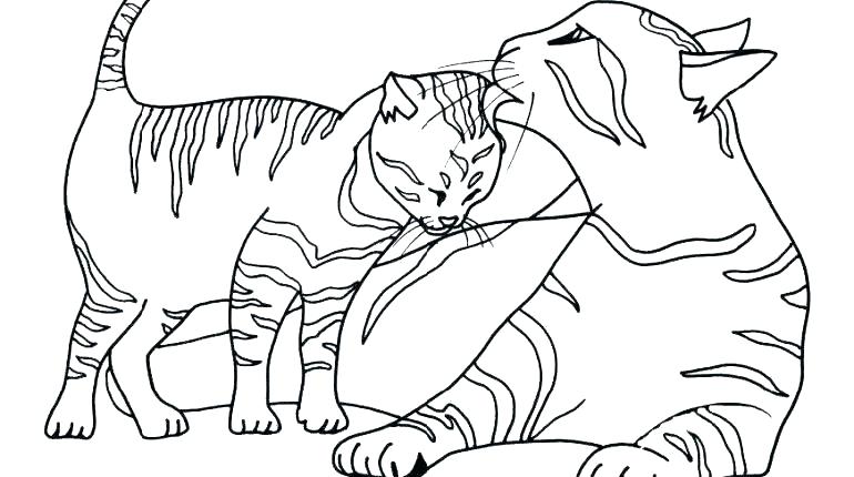 Kitten Coloring Pages Cat Mother And Kitten Free Online Kitten 770x430 Kitten Coloring Pages Cat Mother And Kitten Free Online Kitten