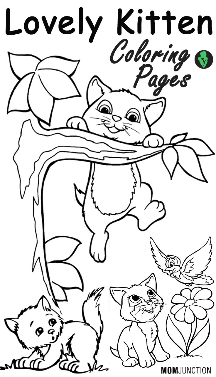 Top 15 Free Printable Kitten Coloring Pages Online Adult 736x1284 Top 15 Free Printable Kitten Coloring Pages Online Adult