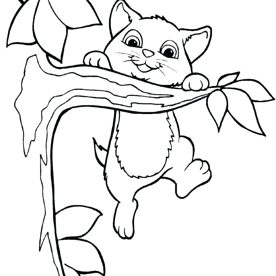 Baby Kitten Coloring Pages Baby Kitten Coloring Pages Baby Kitten 878x878 Baby Kitten Coloring Pages Baby Kitten Coloring Pages Baby Kitten