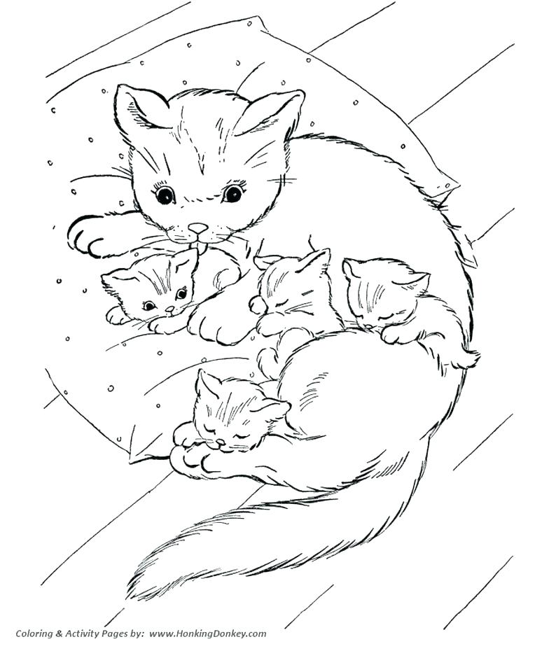 784x960 Kitten Color Pages Kitten Coloring Pages Kitten Coloring Pages