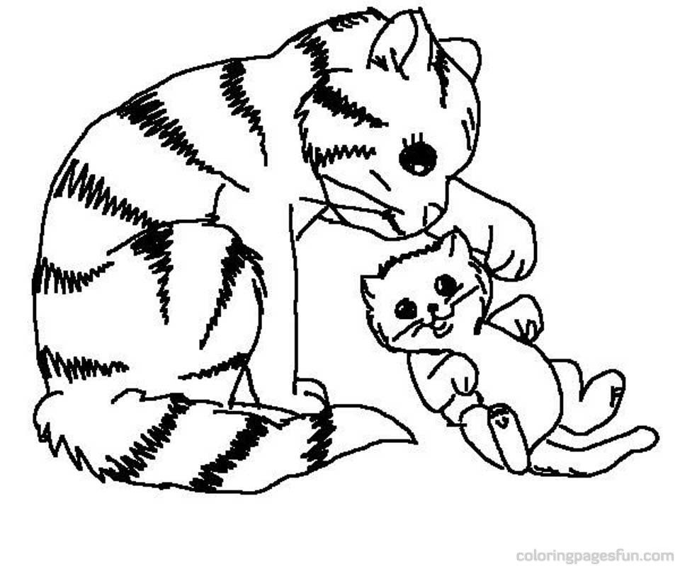 960x800 Best Kitten Coloring Pages To Download Free 3078 Printable