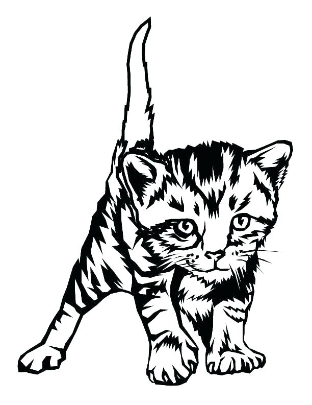 612x793 Printable Kitten Coloring Pages Printable Kitten Coloring Pages X