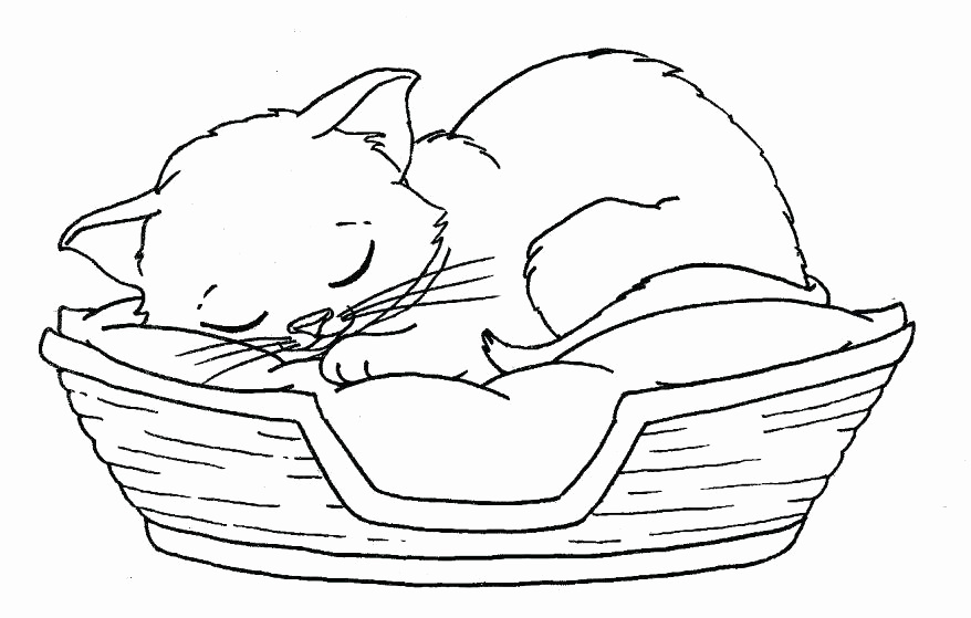 878x559 Kittens Coloring Pages To Print Fresh Cute Kitten Coloring Pages