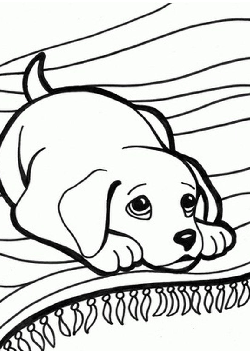 Kitten And Puppy Printable Coloring Pages Page Beauteous Cute 826x1169 Kitten And Puppy Printable Coloring Pages Page Beauteous Cute