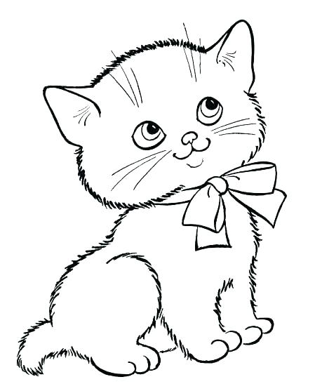 Kitten Coloring Pages Printable Printable Kitten Coloring Pages 449x547 Kitten Coloring Pages Printable Printable Kitten Coloring Pages
