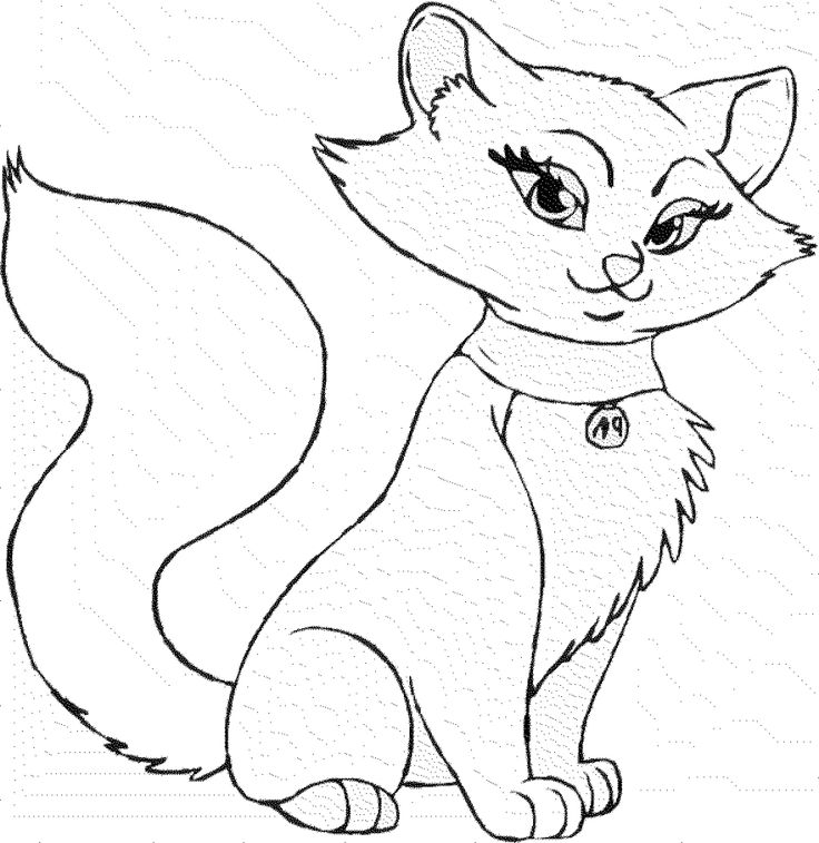 736x757 24 Best Cat Templates To Zentangle Images On Coloring