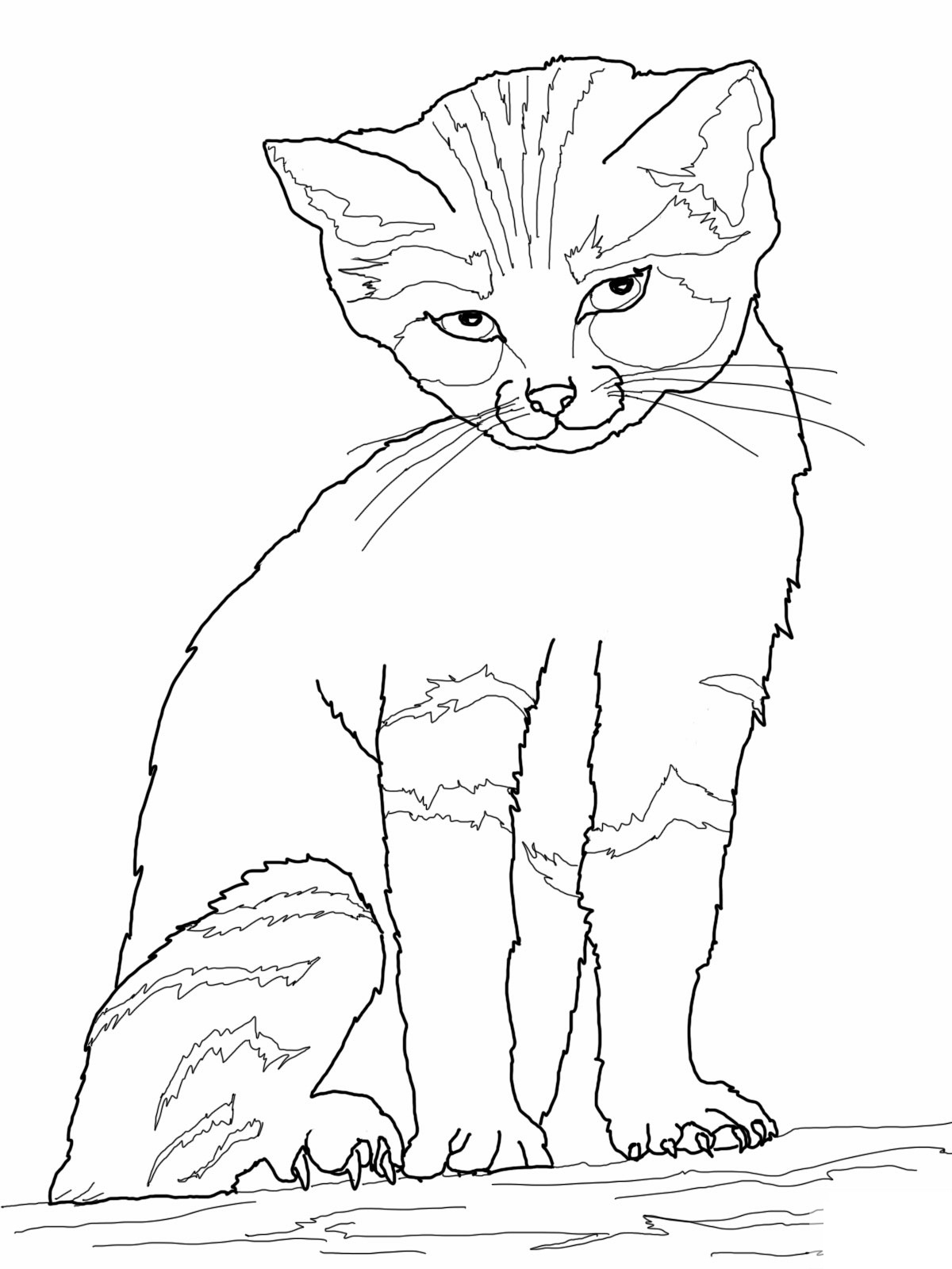 1200x1600 Kitty Cat Coloring Pages 2920 New Coloring Sheets