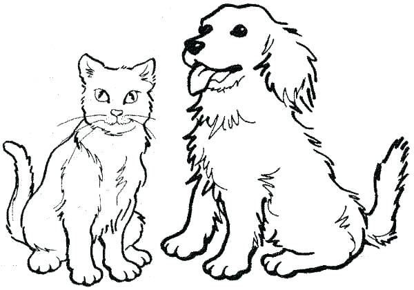Free Cat Coloring Pages Color Pages Cats Free Halloween Hello 600x420 Free Cat Coloring Pages Color Pages Cats Free Halloween Hello