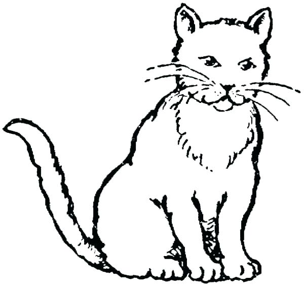 Coloring Page Of Cat Cats Coloring Pages Cat Pictures To Color 600x564 Coloring Page Of Cat Cats Coloring Pages Cat Pictures To Color