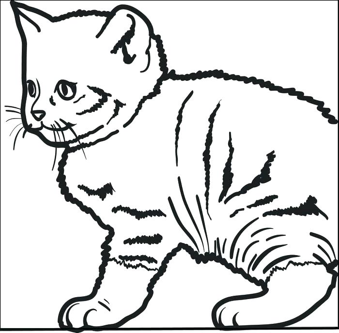 Coloring Page Of Dog Dogs And Cats Coloring Pages Cute Kitty Cat 700x688 Coloring Page Of Dog Dogs And Cats Coloring Pages Cute Kitty Cat