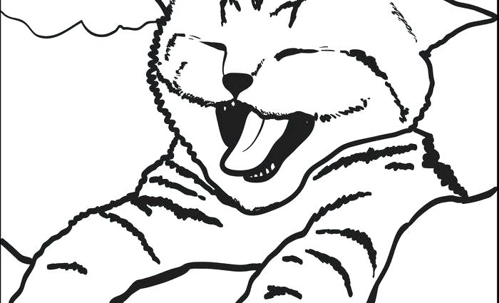 Coloring Pages Cat Free Printable Cute Kitty Cat Yawning Coloring 700x425 Coloring Pages Cat Free Printable Cute Kitty Cat Yawning Coloring