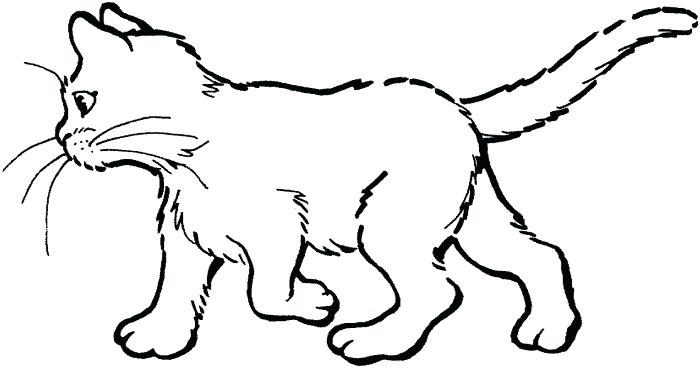 Kitty Cat Coloring Pages As Well As Printable Coloring Pages 700x368 Kitty Cat Coloring Pages As Well As Printable Coloring Pages
