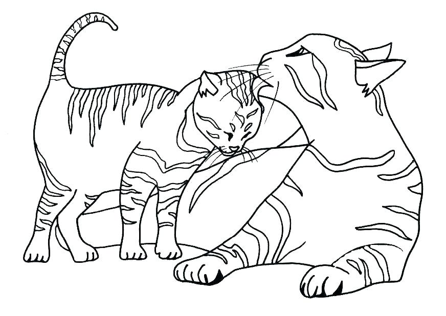 Black Cat Coloring Pages Perfect Cute Cats Coloring Pages 872x618 Black Cat Coloring Pages Perfect Cute Cats Coloring Pages
