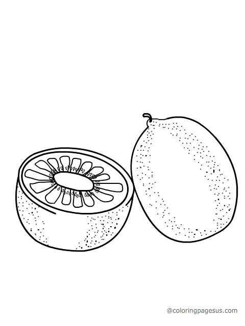 Kiwi Bird Coloring Page Kiwi Coloring Pages Thanksgiving Preschool 480x640 Kiwi Bird Coloring Page Kiwi Coloring Pages Thanksgiving Preschool