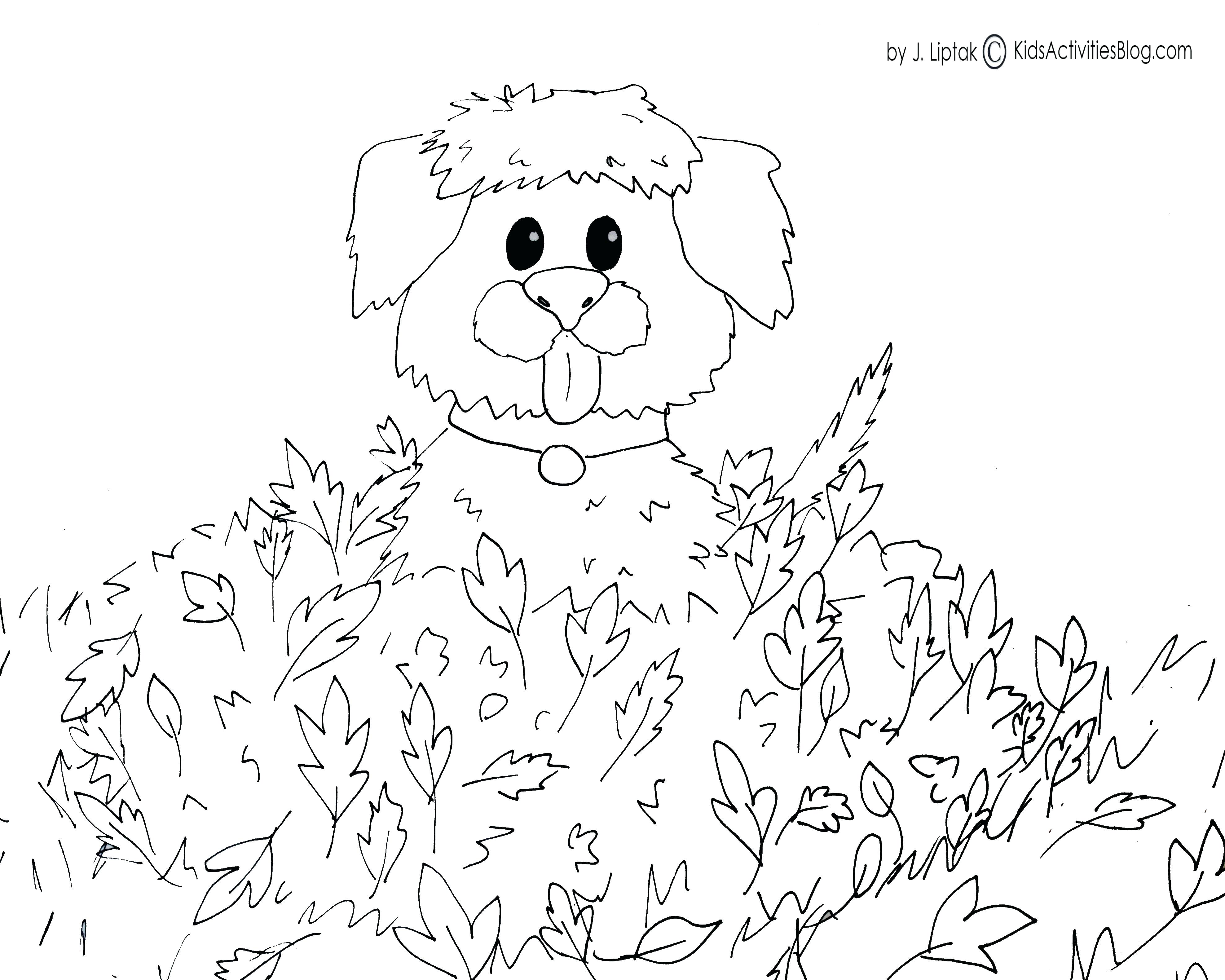 Kiwi Bird Colouring Pictures Best Fall Printable Coloring Pages K 3953x3162 Kiwi Bird Colouring Pictures Best Fall Printable Coloring Pages K