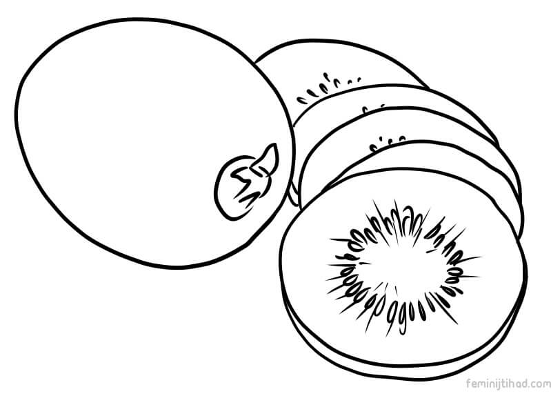 Kiwi Coloring Page at GetColorings.com | Free printable colorings pages ...