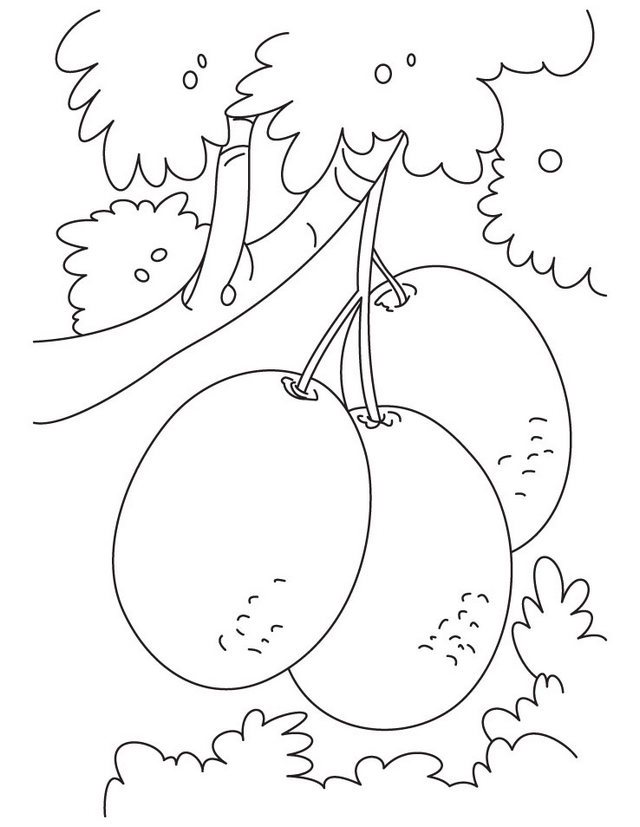 Kiwi Coloring Page 2 Forever Coloring 640x827 Kiwi Coloring Page 2 Forever Coloring