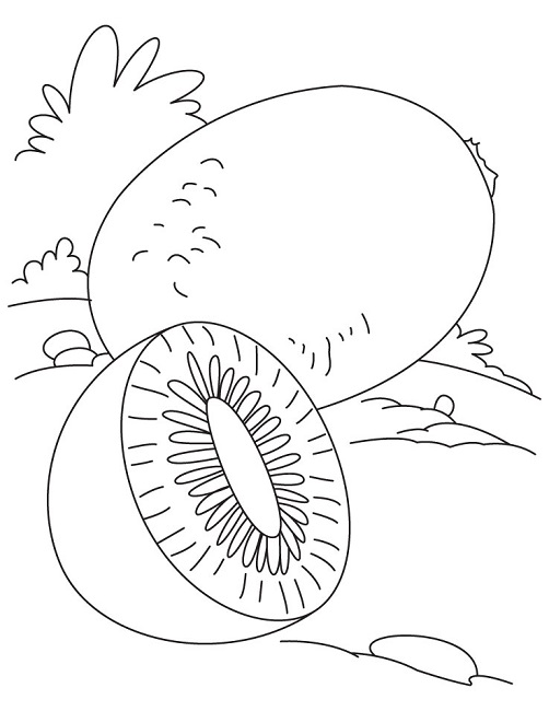 Kiwi Fruit Coloring Page Food Craft, Embroidery 502x650 Kiwi Fruit Coloring Page Food Craft, Embroidery