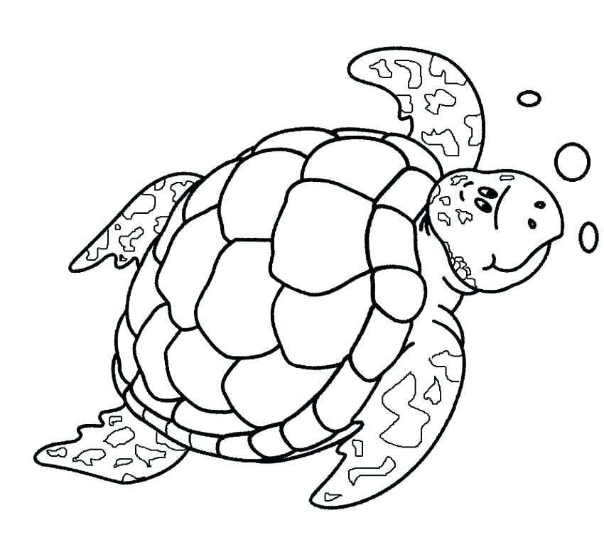 Coloring Pages Turtle Sea Turtle Knitting Pattern Free Coloring 850x770 Coloring Pages Turtle Sea Turtle Knitting Pattern Free Coloring