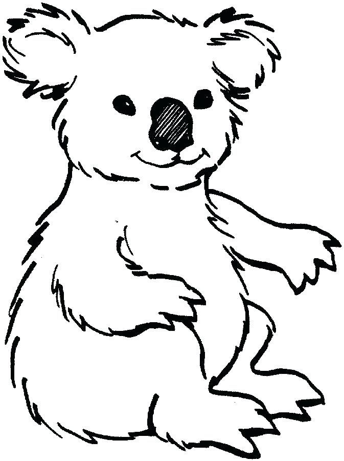 673x900 Koala Bear Coloring Page Animal Koala Bear Coloring Page Free