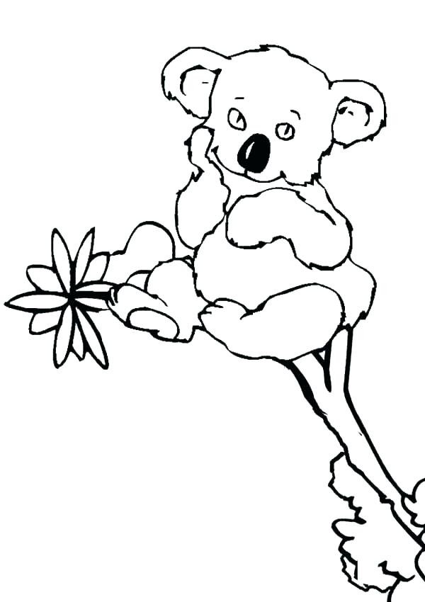 600x850 Koala Bear Coloring Page Coloring Pages Of Koalas Koala Bear