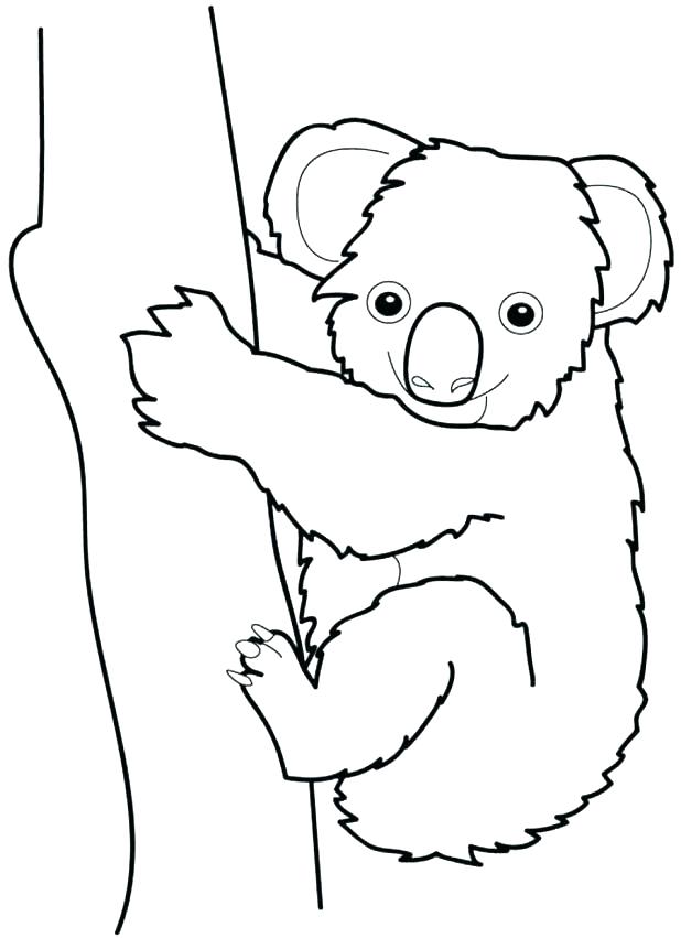 618x851 Koala Bear Coloring Page Koala Bear Pictures To Color Bear Face