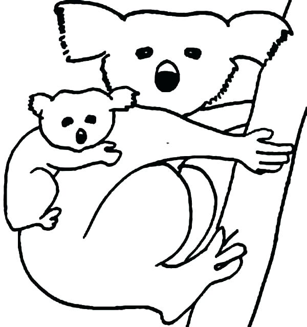 600x639 Koala Coloring Pages Koala Bear Coloring Page Koala Coloring Page