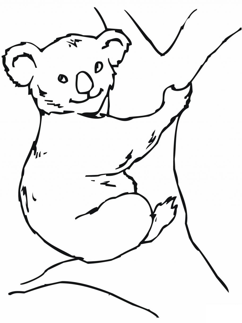 1024x1366 52 Koala Bear Coloring Page Free Printable Pages Unbelievable