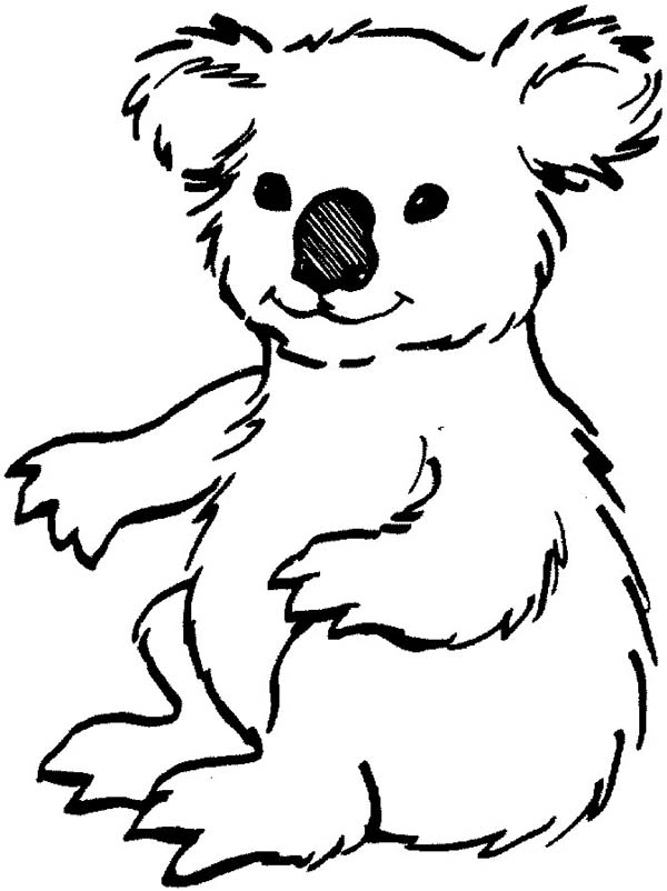 600x802 Loving Koala Bear Coloring Page Color Luna