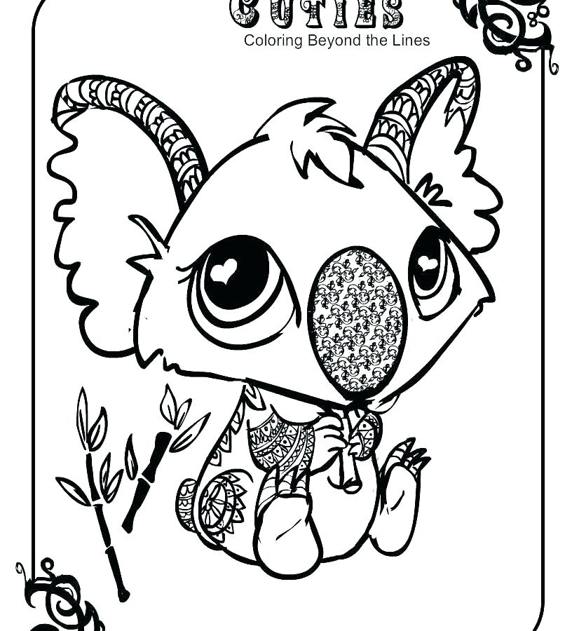 816x900 Black Bear Coloring Pages Coloring Pages Bear Koala Bear Coloring