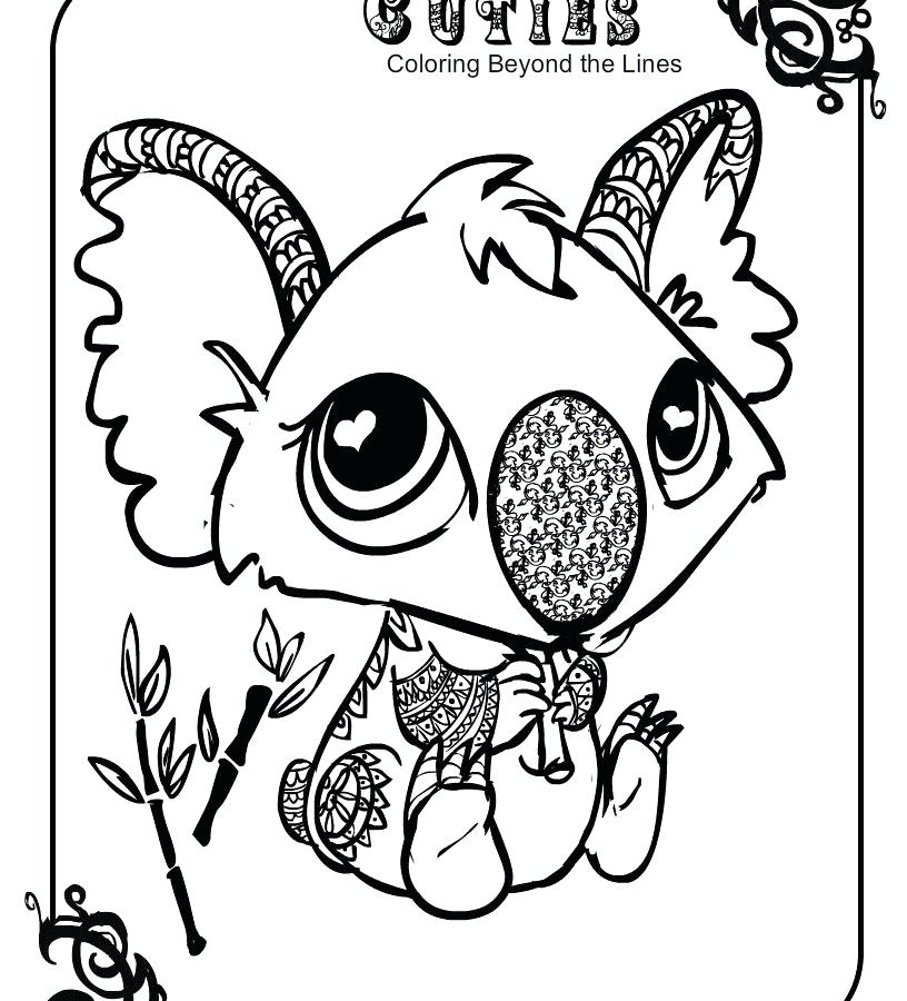 816x900 Koala Coloring Pages Koala Coloring And Printable Page Koala
