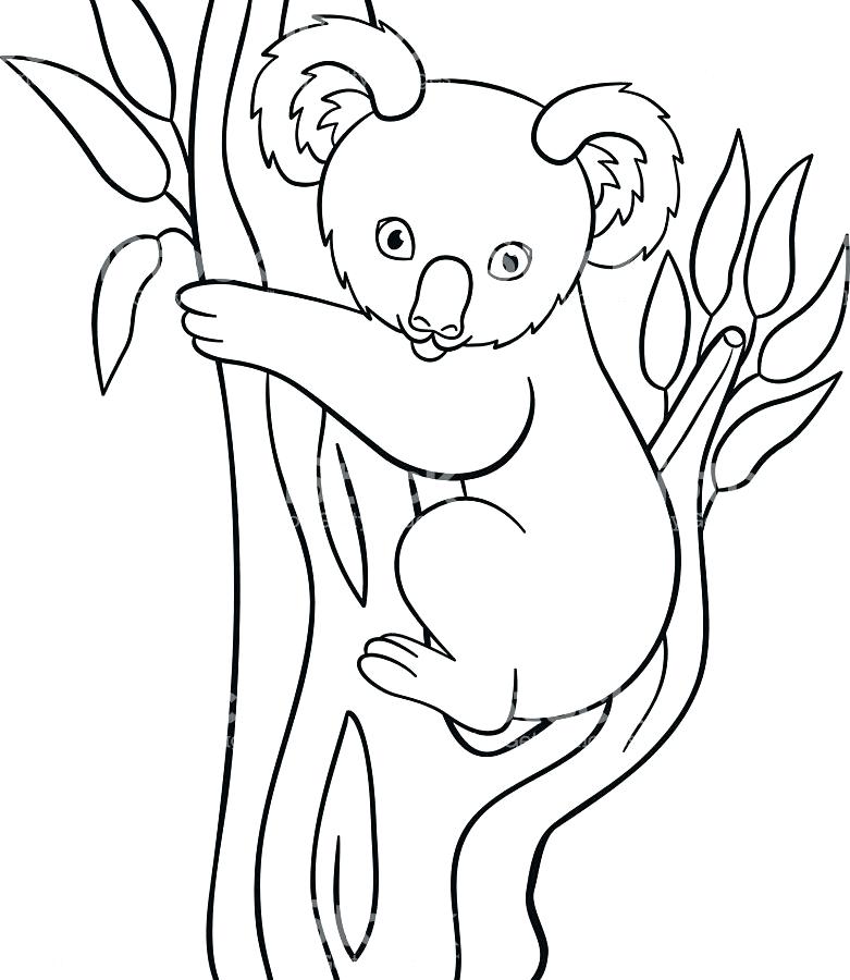 781x900 Coloring Pages For Kids Animals Cartoon Baby Koala Coloring Pages