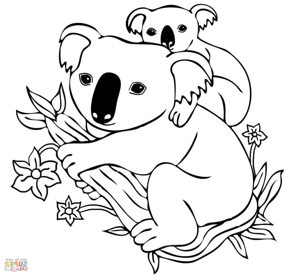 1024x950 The Truth About Koala Coloring Pages Koalas Free