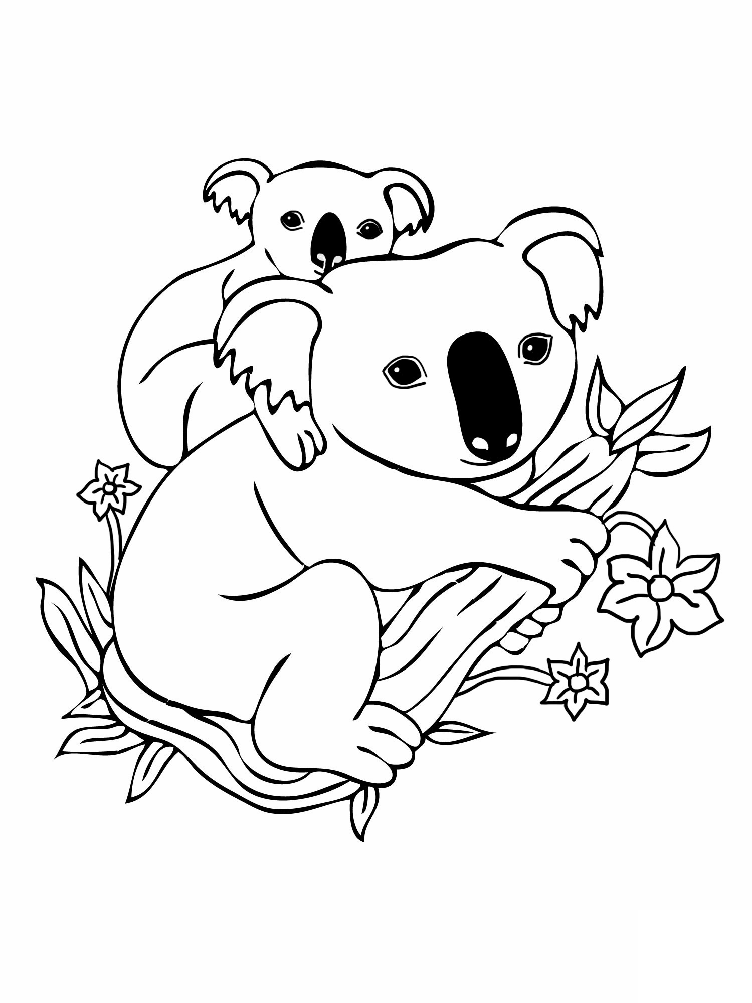 1500x2000 Free Printable Koala Coloring Pages For Kids