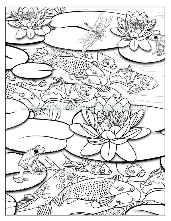 600x776 Kuvahaun Tulos Haulle Koi Pond Colouring Pages Sammakotkalat