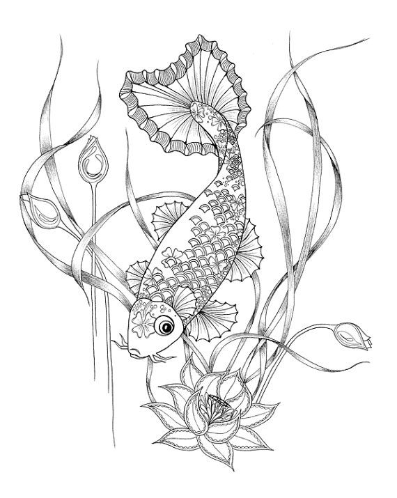 570x715 Coloring Pages Adults. Digital Download Of A Koi Fish