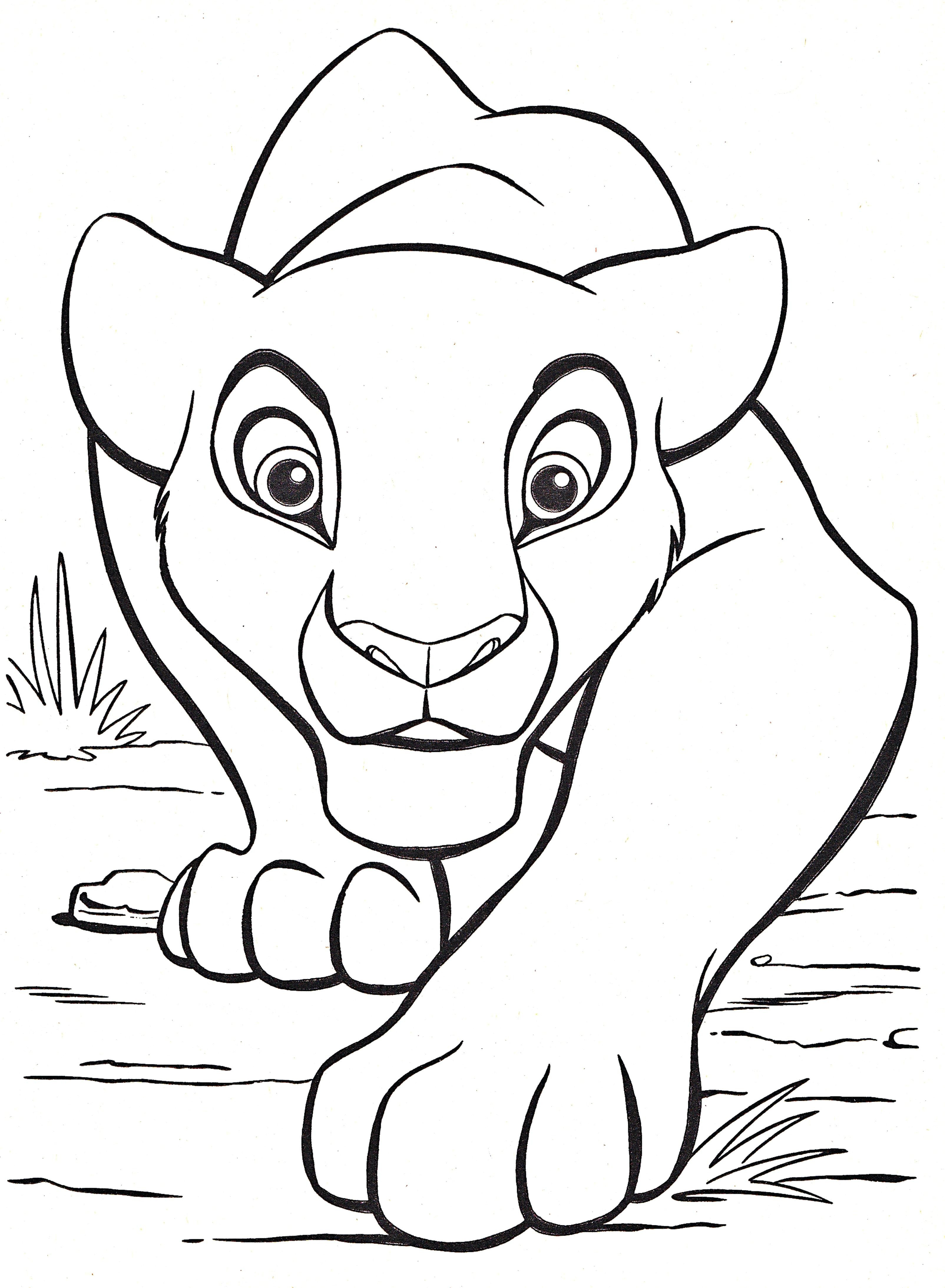 Growth Lion King Coloring Pages Kovu Resume St 3209x4375 Growth Lion King Coloring Pages Kovu Resume St