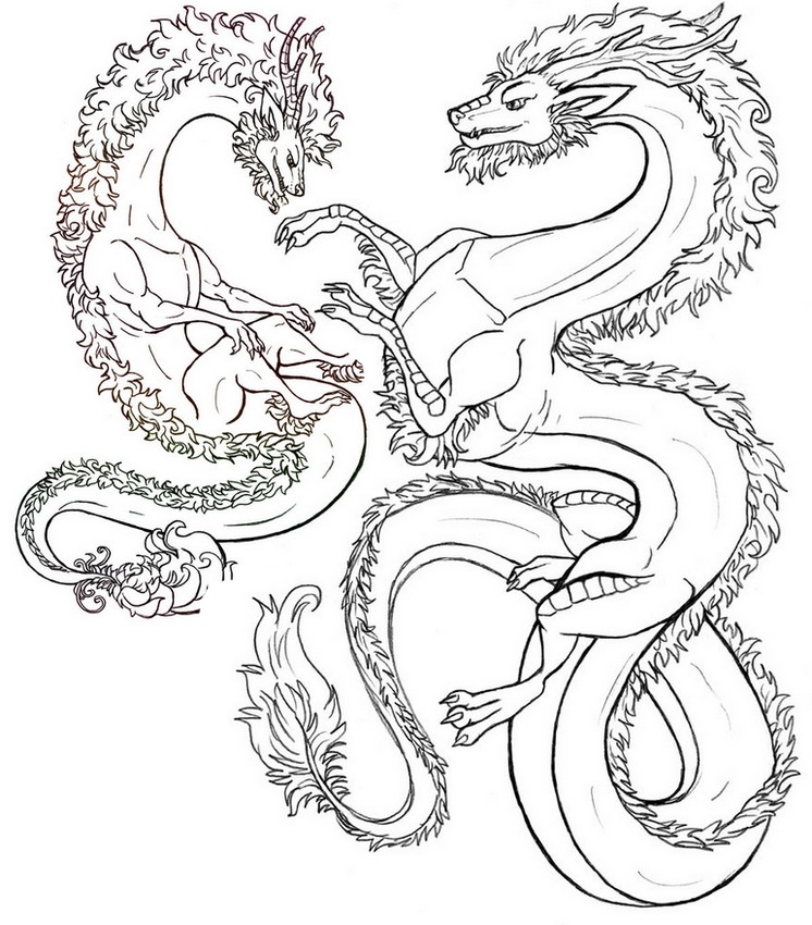 746x850 Adult Coloring Page Fantastic Animals Dragons 10
