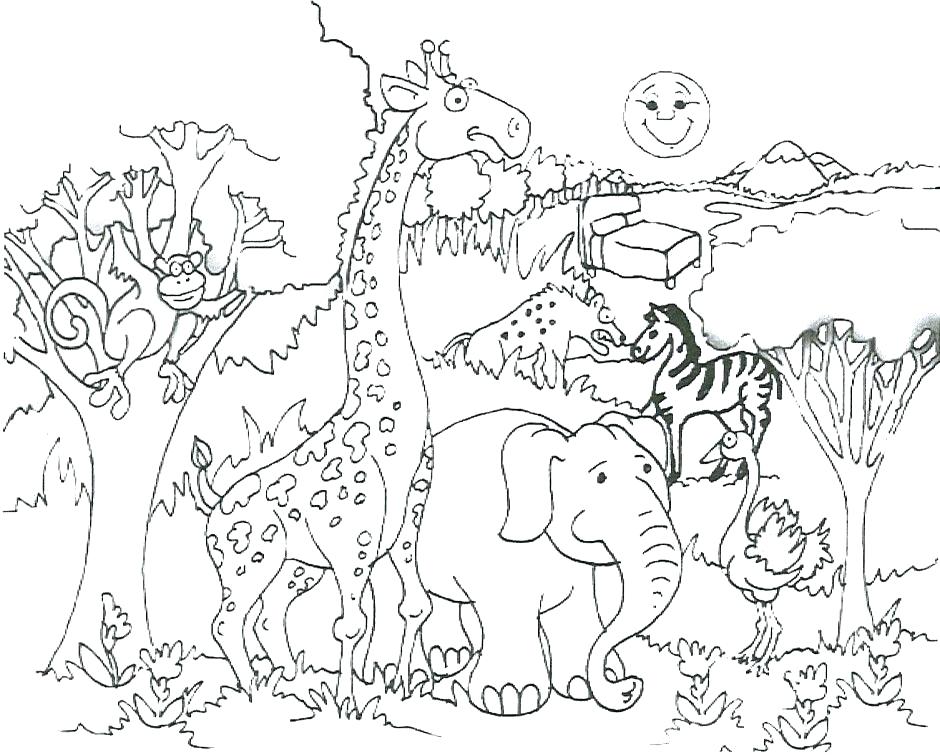 940x755 Wild Kratts Coloring Book Plus Wild Coloring Pages Tiger Coloring