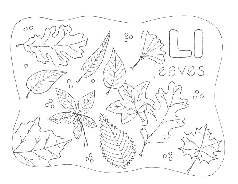 Letter L Coloring Page Nature Alphabet Coloring Page Letter L 780x603 Letter L Coloring Page Nature Alphabet Coloring Page Letter L