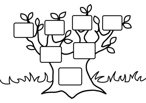 500x354 Coloring Page Empty Family Tree Kinder Workbook