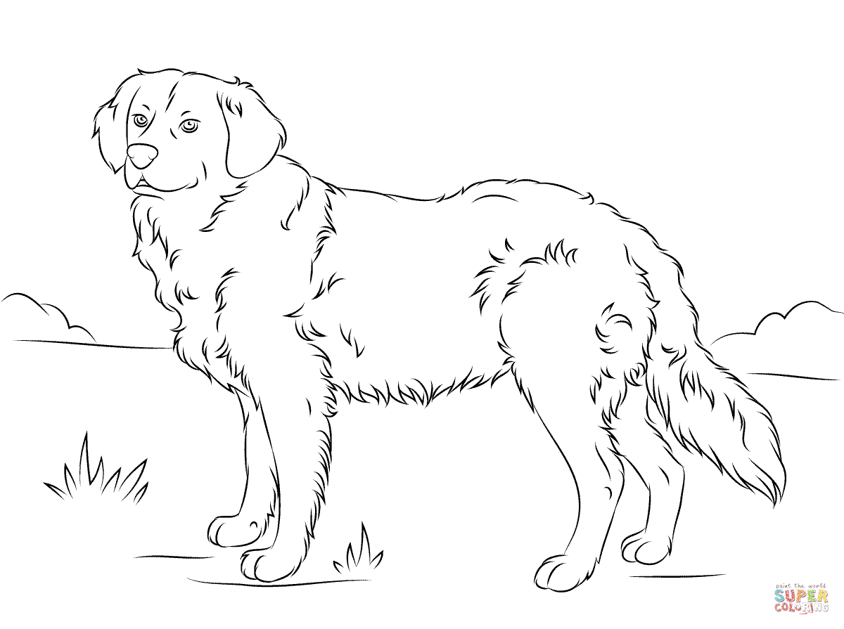 1200x895 Gigantic Yellow Lab Puppy Coloring Pages Labra