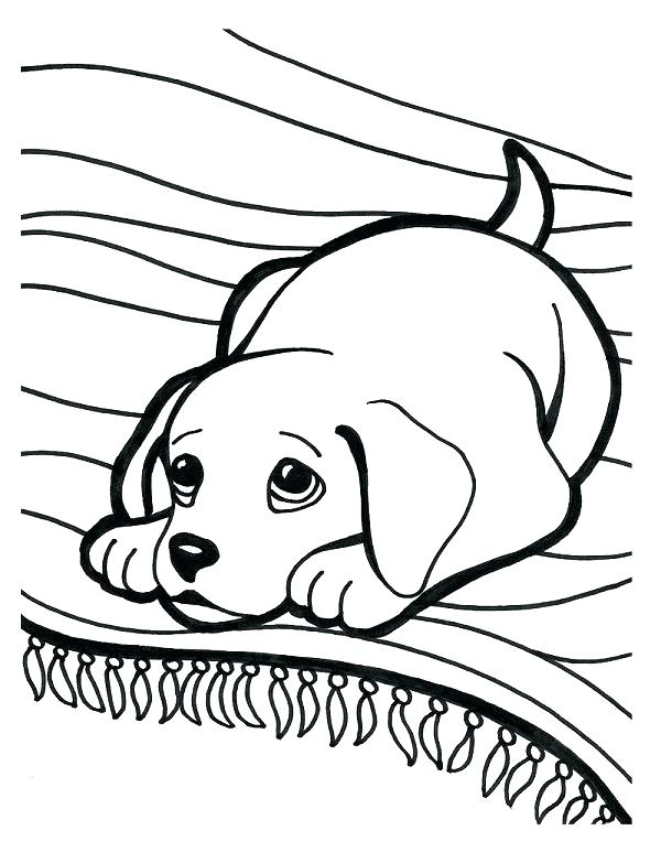 600x783 Black Lab Coloring Pages Black Lab Coloring Pages Lab Coloring