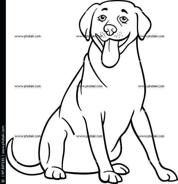 606x626 Black Lab Coloring Pages Coloring Page Dog Lab Black Labrador