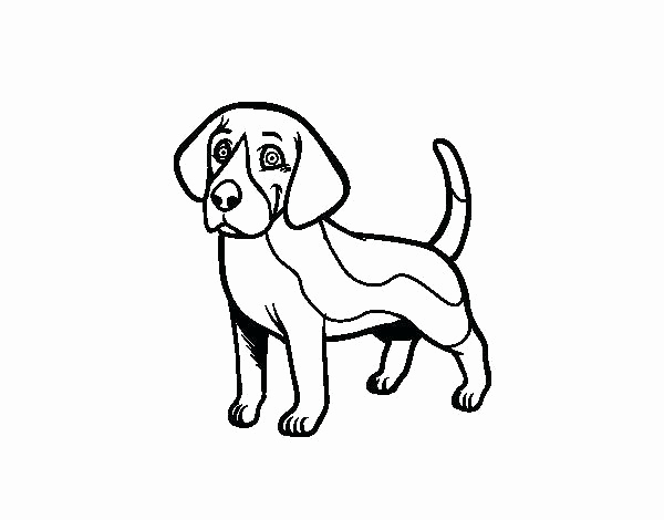 600x470 Best Of Dog Color Page Pictures Opavafo Realistic Lab Dog