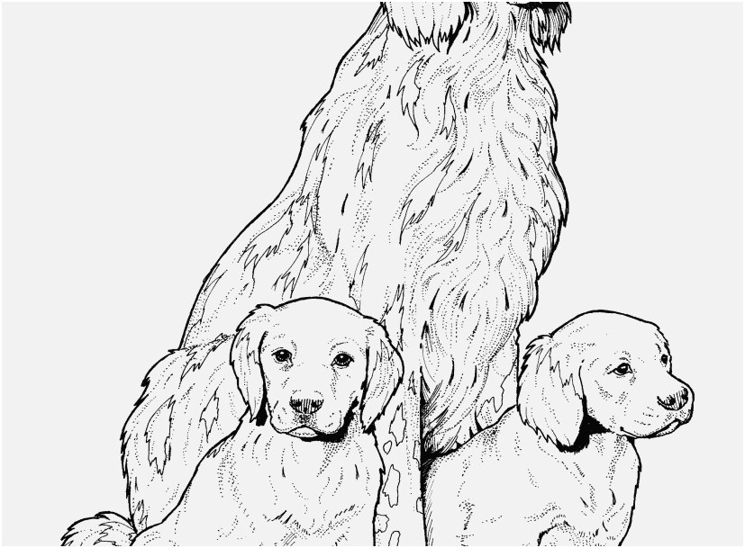 827x609 Top Rated Shoot Dog Coloring Sheets Wonderful