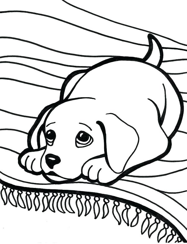 600x783 Lab Coloring Pages Black Lab Coloring Pages Excellent Coloring