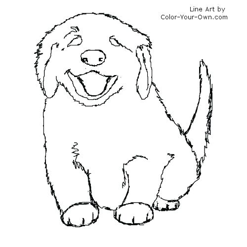 500x500 Labrador Coloring Pages